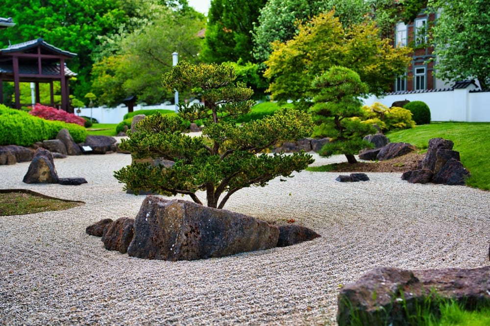 Zen Garden Landscape